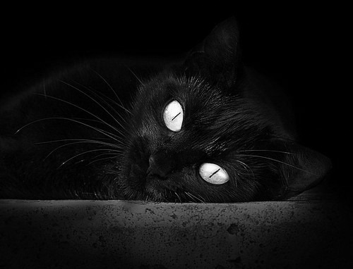 体育新闻中心打造智能赛事运营协同平台，线上体育智能赛事